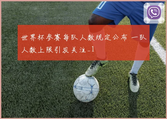 世界杯参赛每队人数规定公布 一队人数上限引发关注_1